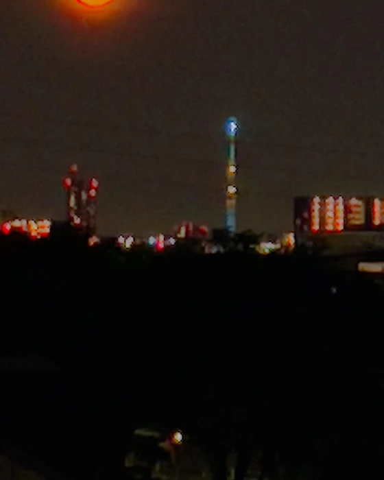 画像238